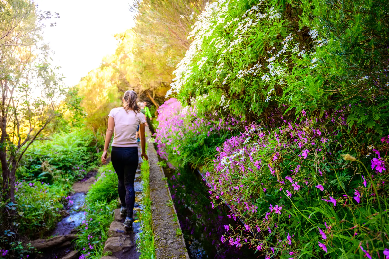 Wanderin auf der Levada im Rabaçal zwischen Farnen und Blumen