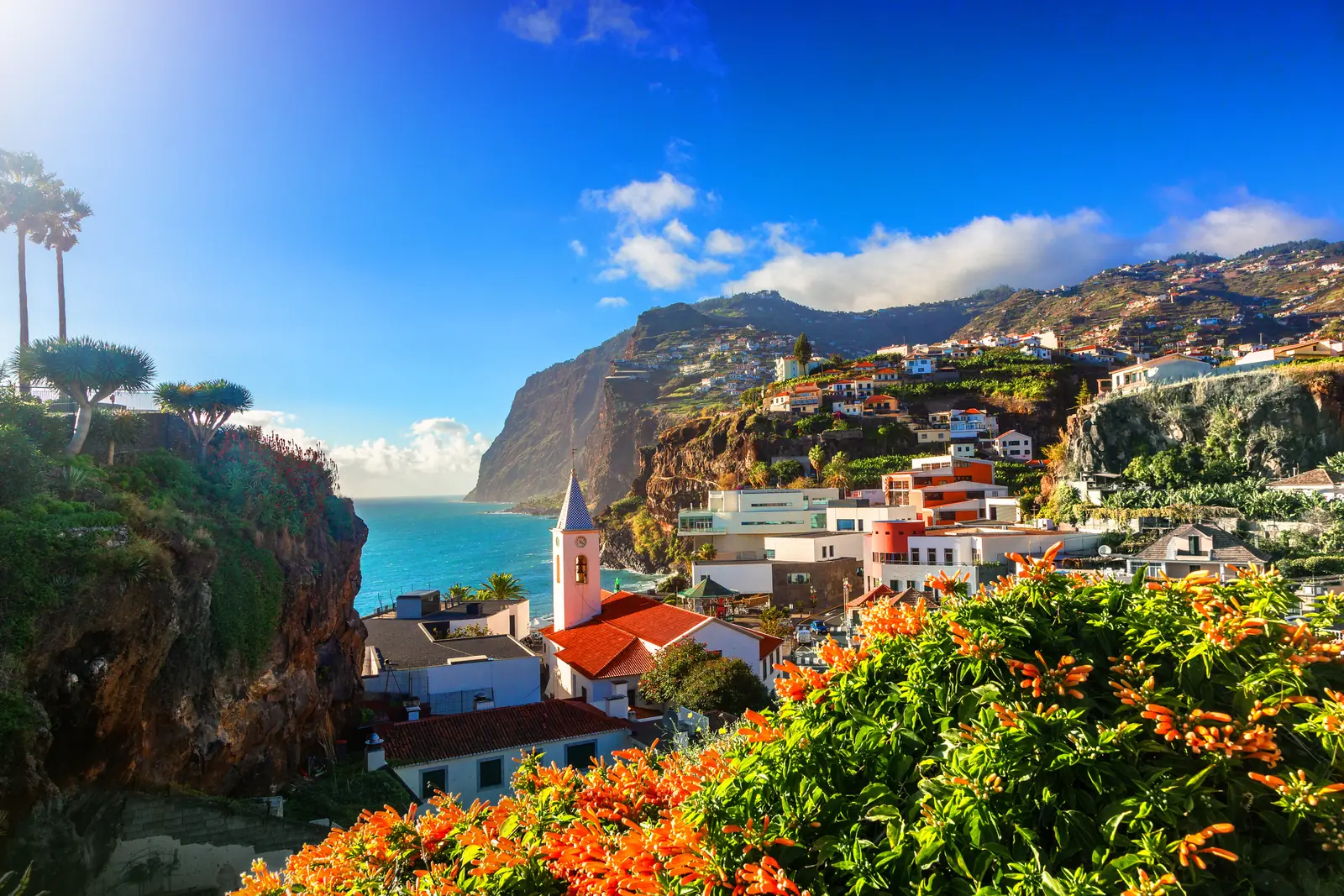 Câmara de Lobos con el Cabo Girão al fondo y flores en primer plano
