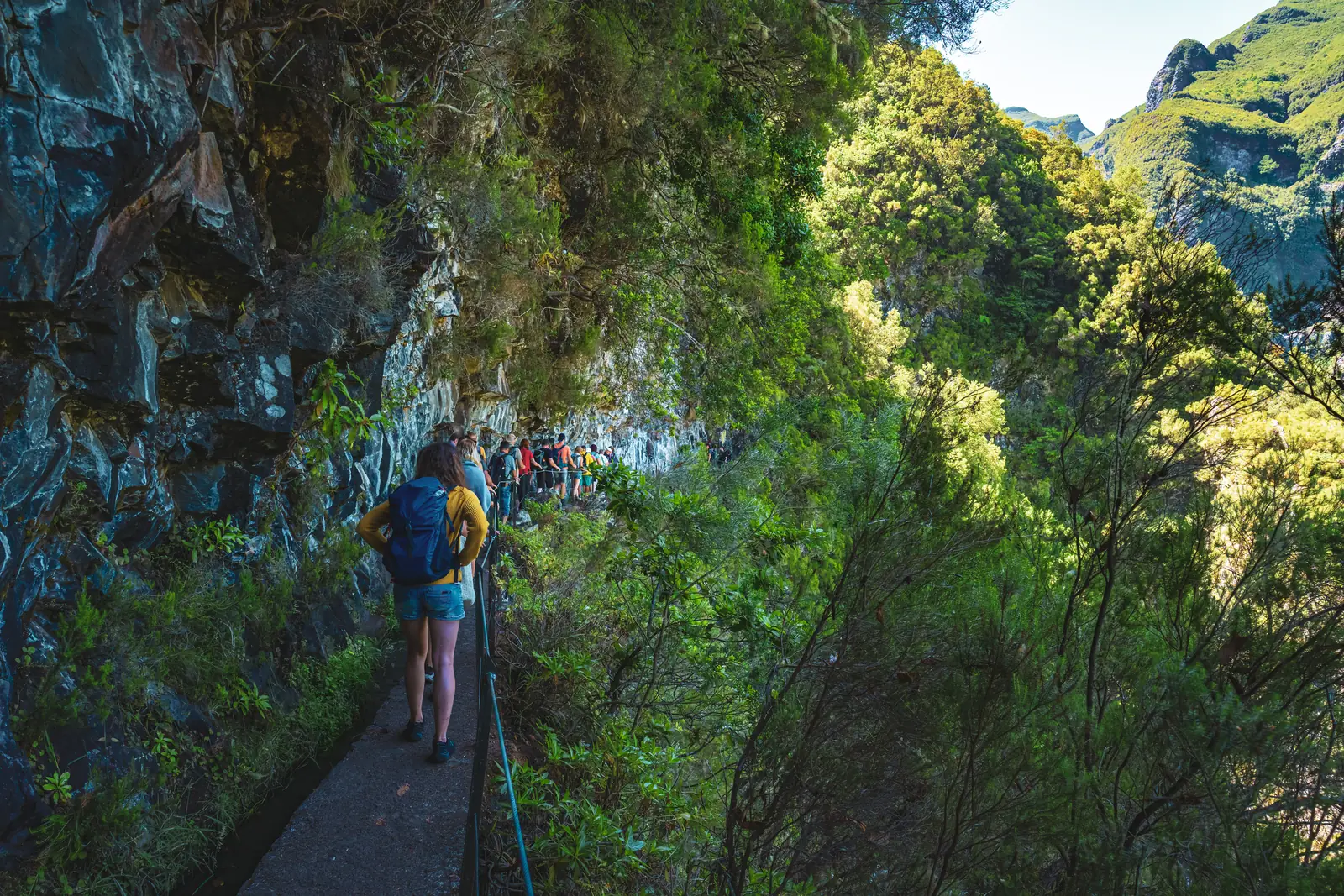 Group walking on a narrow levada along a forested slope