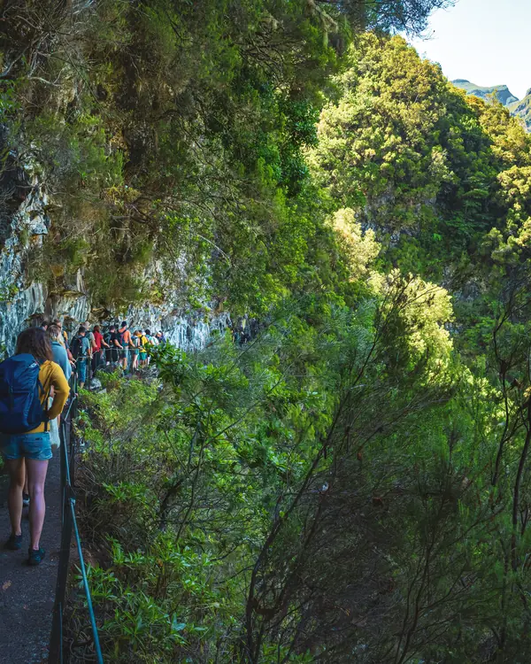 Gruppe auf einer schmalen Levada an einem bewaldeten Hang
