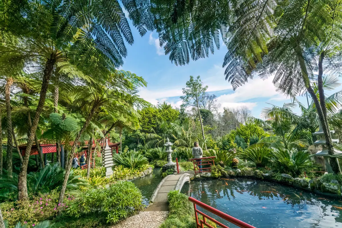 Lago e jardim tropical do Monte Palace, com pontes e palmeiras
